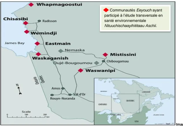 Figure 8 : Territoire Eeyou Istchee faisant l’objet de l’étude Nituuchischaayihititaau Aschii 