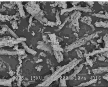 Figure 3-13. SEM image of modified SBA-15 material under x1000 folds magnification  (used from Chapter 4) 