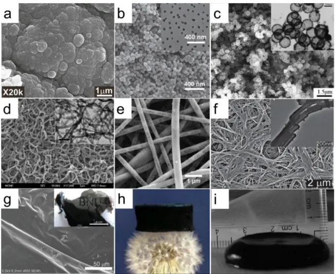 Figure  1.6  Morphology  of  PPys:  a,  cauliflower-like  particles  48 ;  b,  nanoparticles  49 ;  c,  nanocapsules  50 ; d, nanowires  51 ; e, nanofibers  52 ; f, nanotubes  53 ; g, film  54 ; h, sponge  55 ; I,  hydrogel  56 