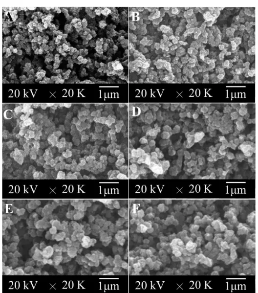 Figure  2.1  SEM  photomicrographs  of  PPy-co-PPyCOOH  particles  prepared  in  different  reaction times from 10 min to 24 hours: (A) 10 min, (B) 40 min, (C) 1.5 h, (D) 6 h, (E) 12 h,  and (F) 24 h