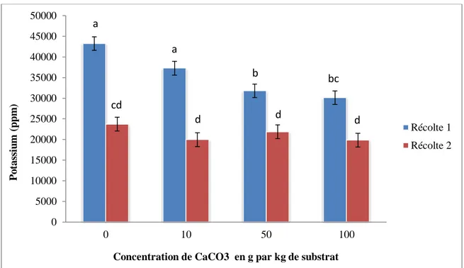 Figure 10- Teneur des plantes en potassium en fonction de l’interaction de la concentration de carbonate de  calcium et du temps de récolte  