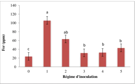 Figure 21- Teneur des plantes en fer pour la moyenne des deux récoltes en fonction du régime d’inoculation  Les  barres  d’erreur représentent l’erreur-type