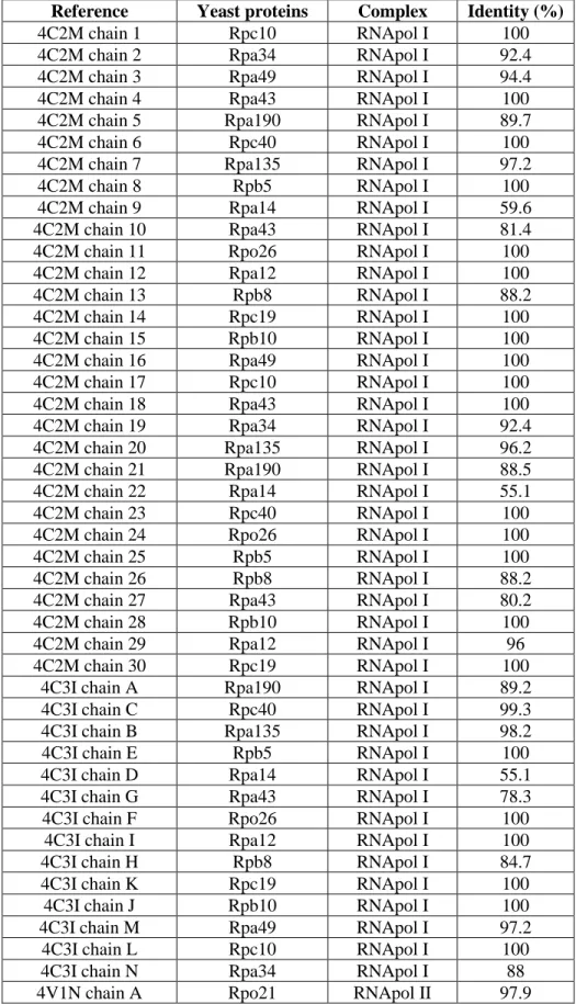 Table S2B. Identity between each RNApol structures and the experimental sequences 