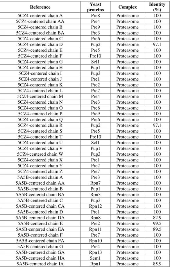 Table S2C. Identity between proteasome structure and the experimental sequence 