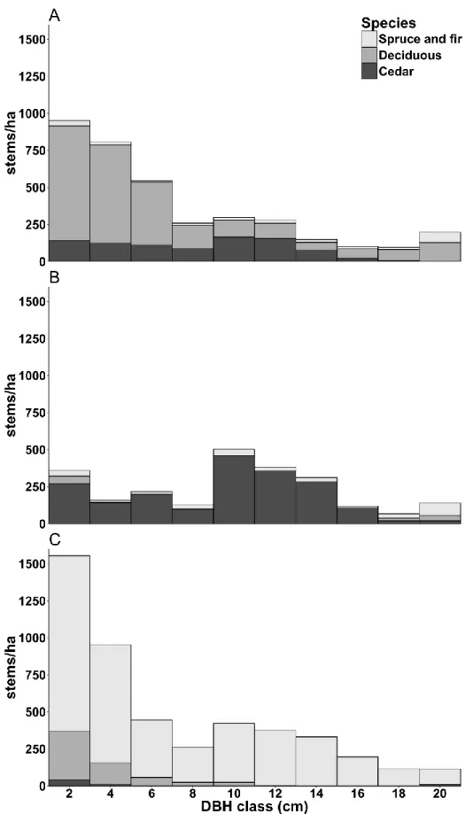 Figure 2. Diameter class distribution for Age-25 with deciduous cover (A), Age-25 with thinned  deciduous (B), and Age-25 with mixed cedar-spruce (C)