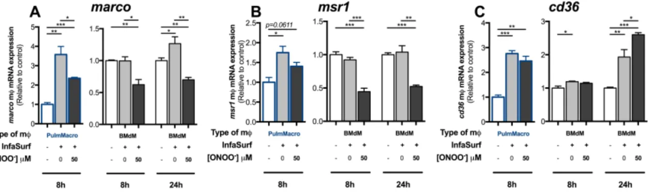 Figure 3. Native and OONO - -treated pulmonary surfactant modulate the expression  of  key  genes  involved  in  lipid  capture  in  both  pulmonary  macrophages  and  bone  marrow-derived macrophages