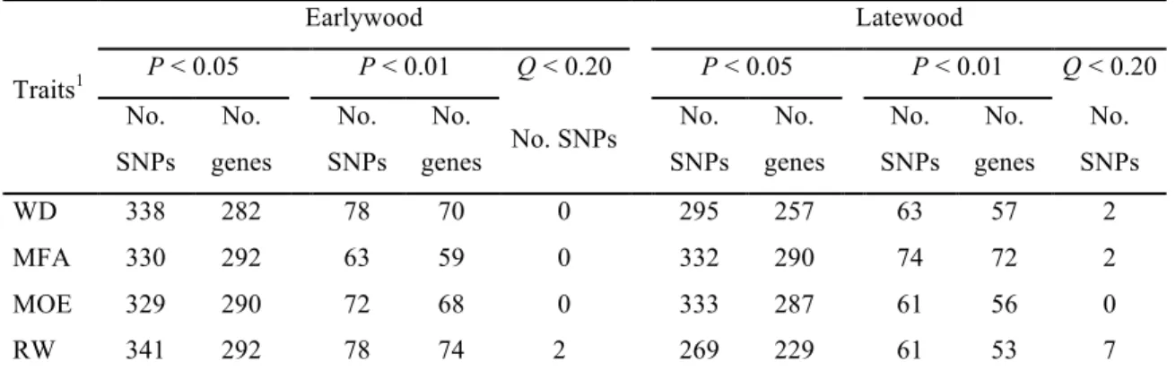 Table 2.2 Number of significantly associated SNPs and genes after association testing with  earlywood  and  latewood  traits  in  white  spruce,  and  number  of  significant  SNPs  after  correction for false discovery rate (FDR) (Q &lt; 0.20)