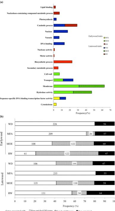 Figure  2.4  Functional  annotations  and  gene  ontology  analysis  of  significant  genes  associated with wood traits (WD, wood density; MFA, microfibril angle; MOE, modulus of  elasticity; RW, ring width) in white spruce