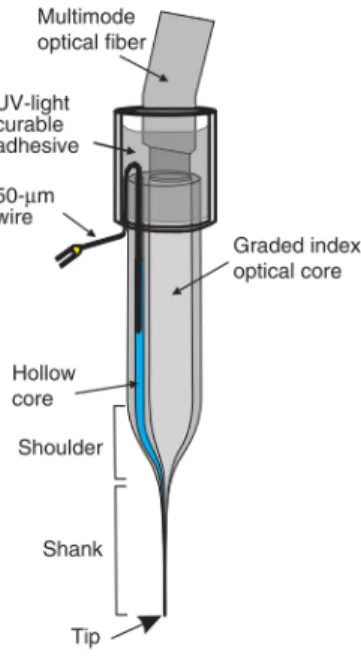 Figure 3 – Schéma d’une sonde avec cœur optique en silice et capillaire [22] . 