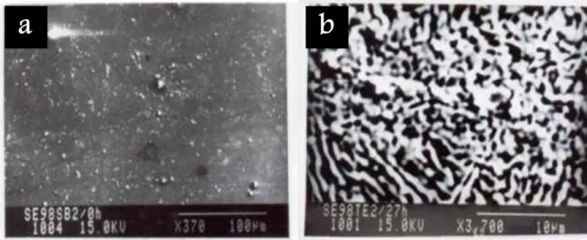 Figure 4: Micrographie électronique à balayage pour des couches a-Se 0.98 Sb 0.02  (a) sans exposition à la  lumière et (b) exposition à la lumière pendant 27 heures.[17] 