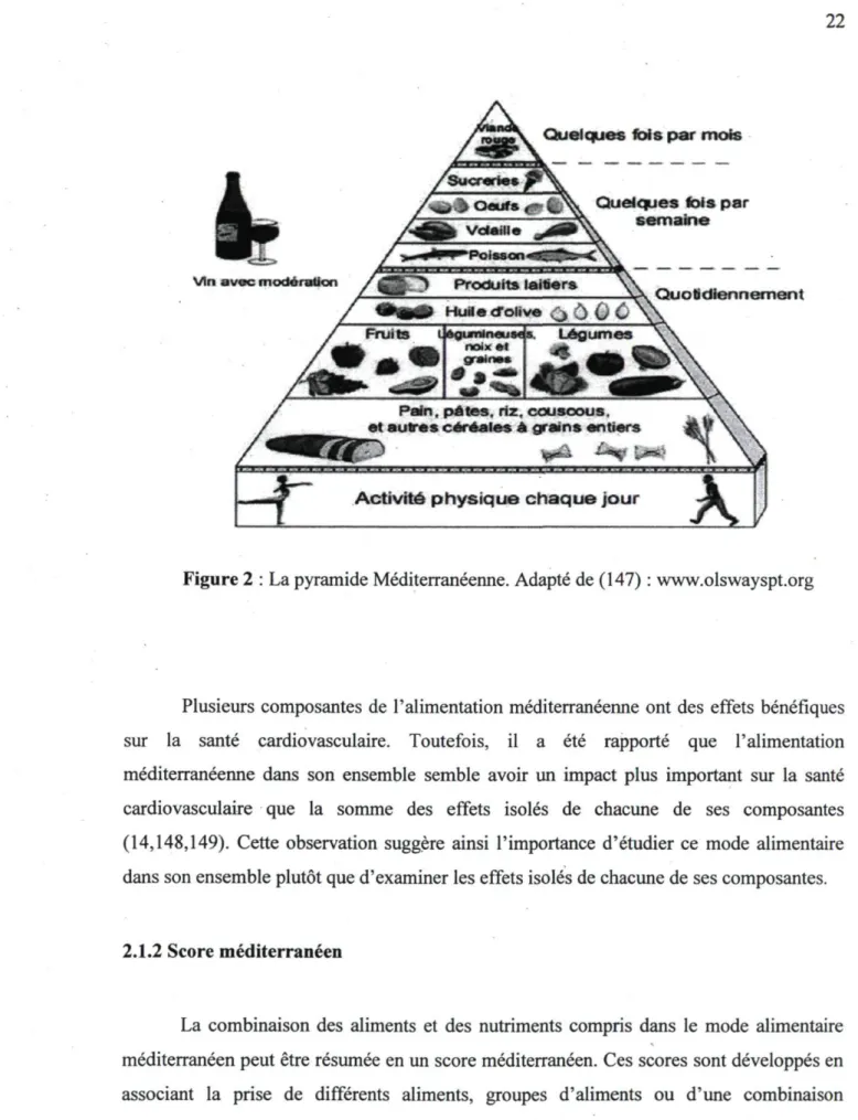 Figure 2 : La pyramide Méditerranéenne. Adapté de (147) : www.olswayspt.org 