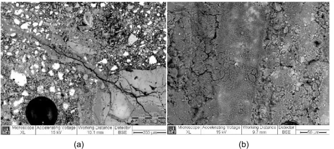 Figure 2.6 BSE micrographs of ASR gel penetrates into the aggregate crack (a) and at the interface  (b) between an aggregate particle (left) and the cement paste (right) (Schlangen et al., 2007)