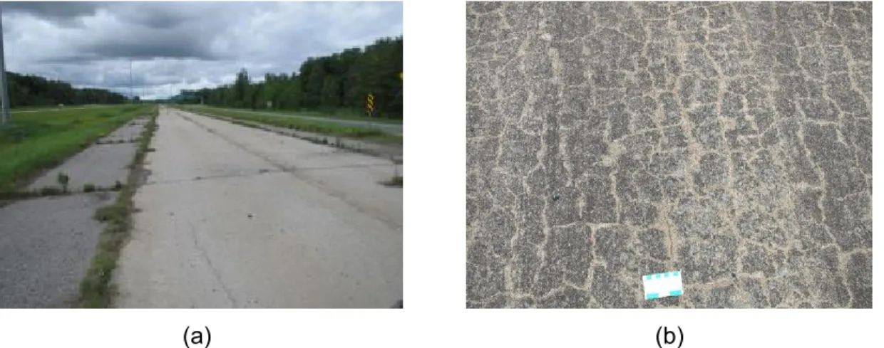 Figure 4.1  (a)  General  view  of  the  Becancour  concrete  pavement;  (b)  Surficial  condition  of  the  pavement section from which the cores used for the testing program were extracted
