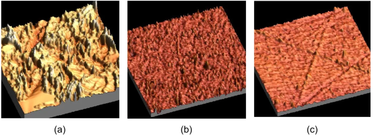 Figure 4.4 Comparison of surface roughness as observed at AFM micrographs for (a) Aggregate zone; 