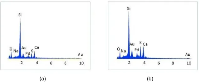 Figure 4.7 Typical results of a SEM-EDX chemical analysis for ASR rosettes in 2 different zones