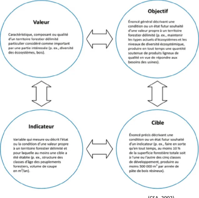 Figure 2: Liens entre les valeurs, les objectifs, les  indicateurs et les cibles, selon CSA 