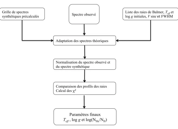 Figure 2.3 – Organigramme du code de l’ajustement des raies de Napiwotzki et al.