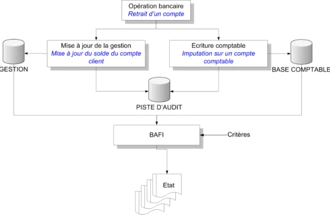 Figure 5 : Principe de la BAFI 