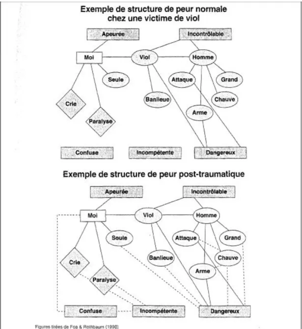 Figure 1. Exemple d'une structure de peur post-traumatique 