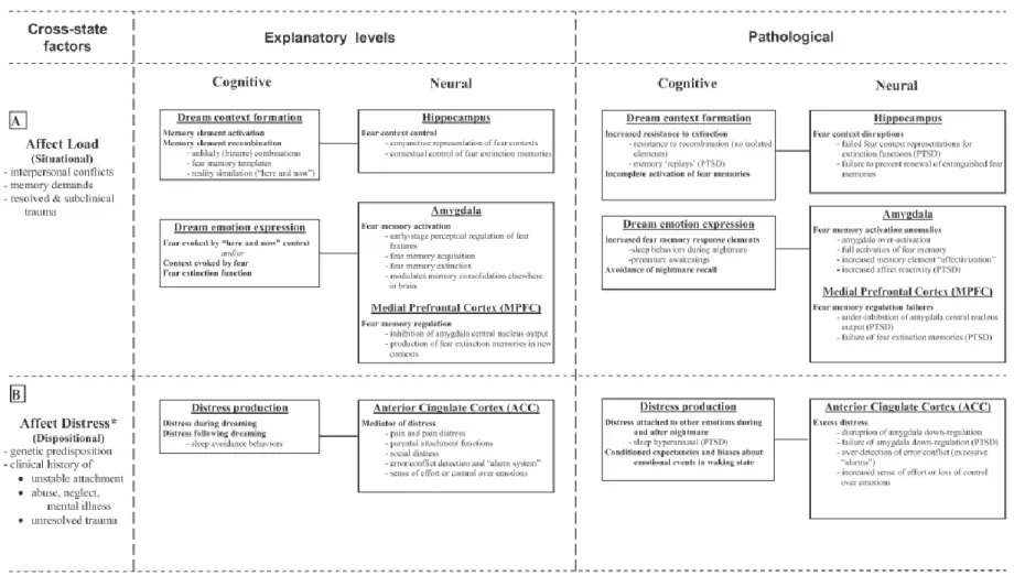 Figure 4. Modèle neurocognitif de Levin et Nielsen (2007)