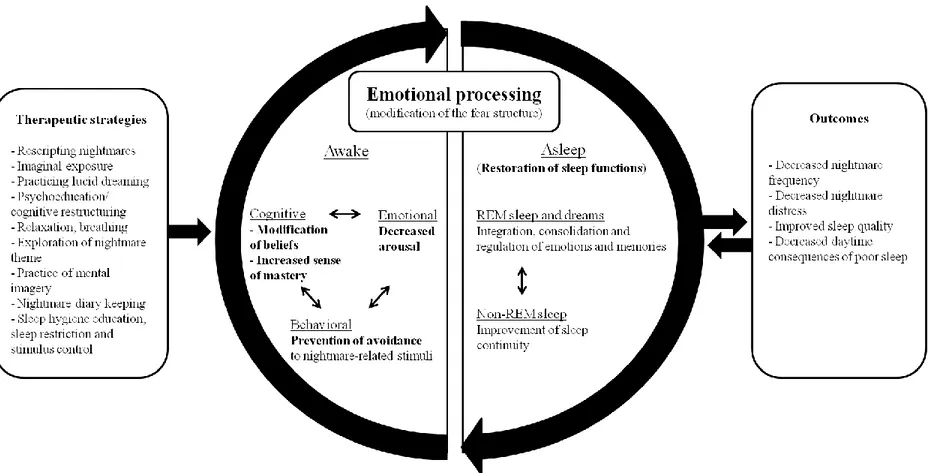 Figure 6. Proposed Illustration of the Different Variables involved in Efficacy of Nightmares Therapies  