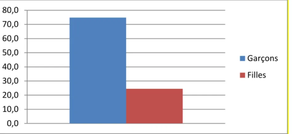 Figure 22 : Proportions de garçons et de filles bruxellois signalés pour FQI (2008-2012) 