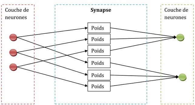 Figure 10 - Schéma représentant le fonctionnement des synapses pondérées 
