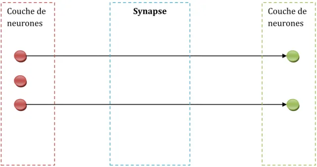 Figure 12 - Schéma de fonctionnement des synapses une à une 