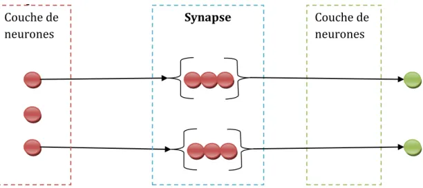 Figure 13 - Schéma de fonctionnement des synapses directes 