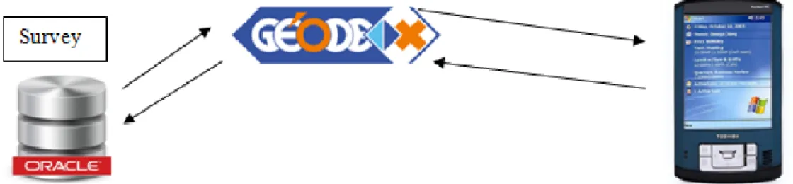 Tableau 7 : Module de tilt - Exemple de fichier de sortie .dat 