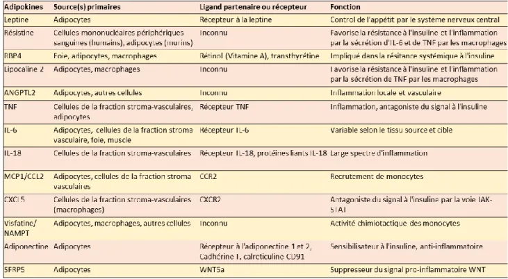 Tableau 1 : Tableau regroupant les adipokines clés du tissu adipeux et quelques informations les concernant