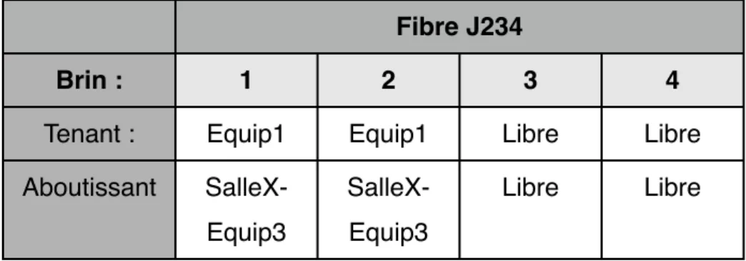 Tableau IV : exemple de tableau référençant l’usage des brins optiques Brin : Fibre J234Fibre J23412 3 4 Tenant : Aboutissant