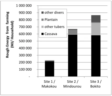 Figure 3: Nutritive value of the food-crop production per household per year (yields based on data from: 