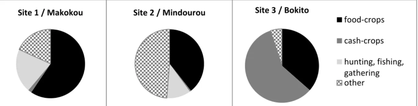Figure 6: Share of the active population by sector of activity (based on data from: Codina Llavinia 2014; 