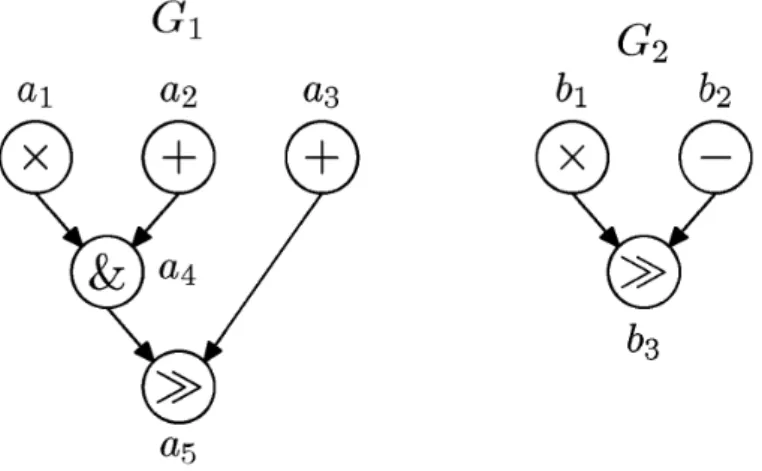Figure 2.3: Two datapath graphs