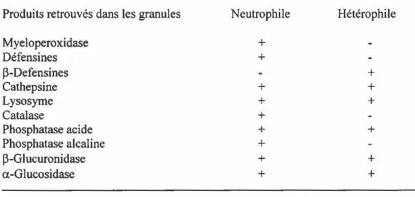 Tableau 2 : Comparaison entre le contenu des granules des hétérophiles aviaires et  des granules des neutrophiles de mammifères 