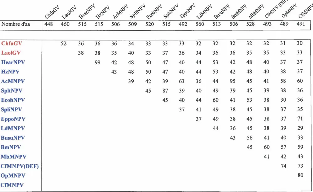 Tableau 3:  Comparaison des séquences déduites en acides aminés  (aa)  des gènes egt des baculovirus  1  Nombre  d'aa  1  448  460  515  515  506  509  520  515  492  560  513  506  528  493  489  491  1  ChfuGV  LaoiGV  HearNPV  HzNPV  AcMNPV  SpltNPV  Ec