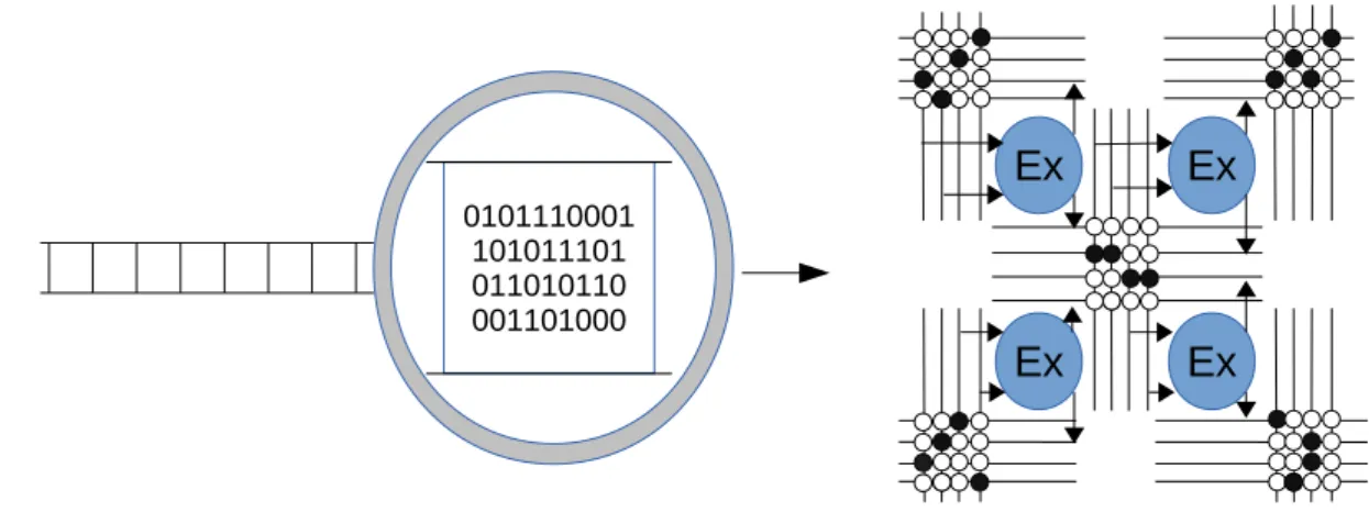 Figure 3 : Idée des architectures CGRA : l’architecture est constituée d’unités d’exécution (EX) séparées par des réseaux d’interconnexion