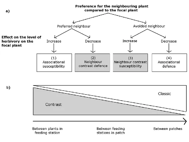 Figure 2.1 (a) Flowchart of the type of associational effects affecting the level of herbivory  on  the  focal  plant  based  on  the  preference  of  the  herbivore  for  the  neighbouring  plants  versus  the  focal  plant  (first  level  of  the  flowch