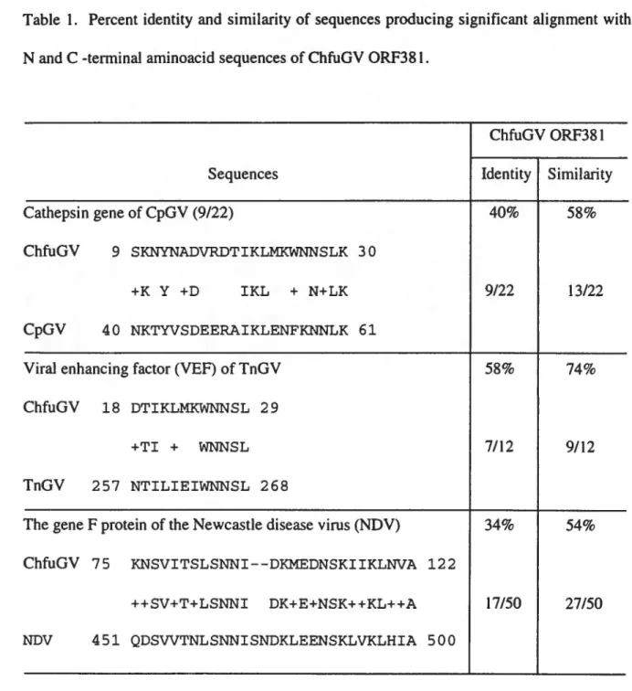 Table  1.  Percent identity  and  similarity of sequences producing significant alignment  with  the  N and C -terminal aminoacid sequences of ChfuGV ORF381