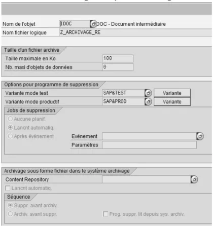 Figure 20 : Options techniques spécifiques objets archivage 