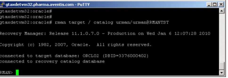Figure  9 : Exemple de lancement de RMAN à l’aide de l’invite de commande UNIX 