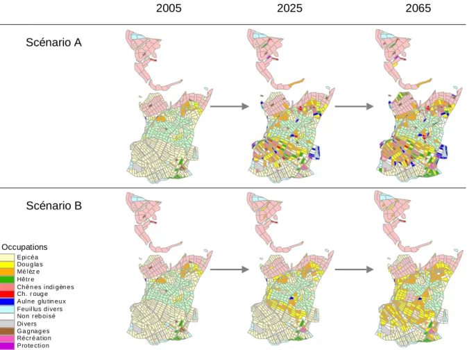 Figure 2. Exemple de visualisation de l’évolution attendue de la forêt, hors infrastructures,  sous l’application de scénarios potentiels