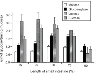 Fig. 1. Mean specific activities (µmol of glucose released per minute per gram of mucosa) of maltase (EC 3.2.1.20), glucoamylase (EC 3.2.1.3), lactase (EC 3.2.1.23), and sucrase (EC 3.2.1.48) measured at sites 10, 25, 50, 75, and 90% along the length (prox