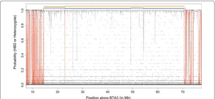 Fig. 7  Comparison of the length of HBD segments identified with WGS data and with the 1R or the M ix 14R models on BTA3