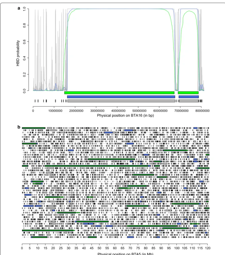 Fig. 5  Illustrations of the identification of HBD segments using different SNP panels