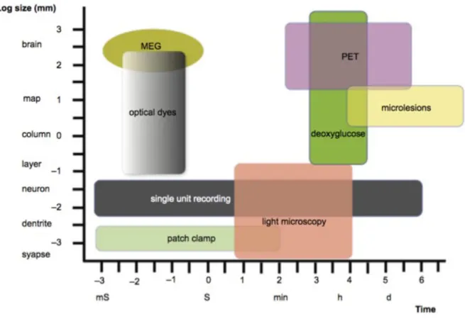 Figure  1.23  Comparison  between  few  neurophysiological  techniques  and  their spatial-temporal resolution