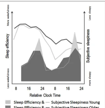 FIGURE 3 | Schematic illustration of age-related modifications in circadian and homeostatic sleep-wake regulation in humans
