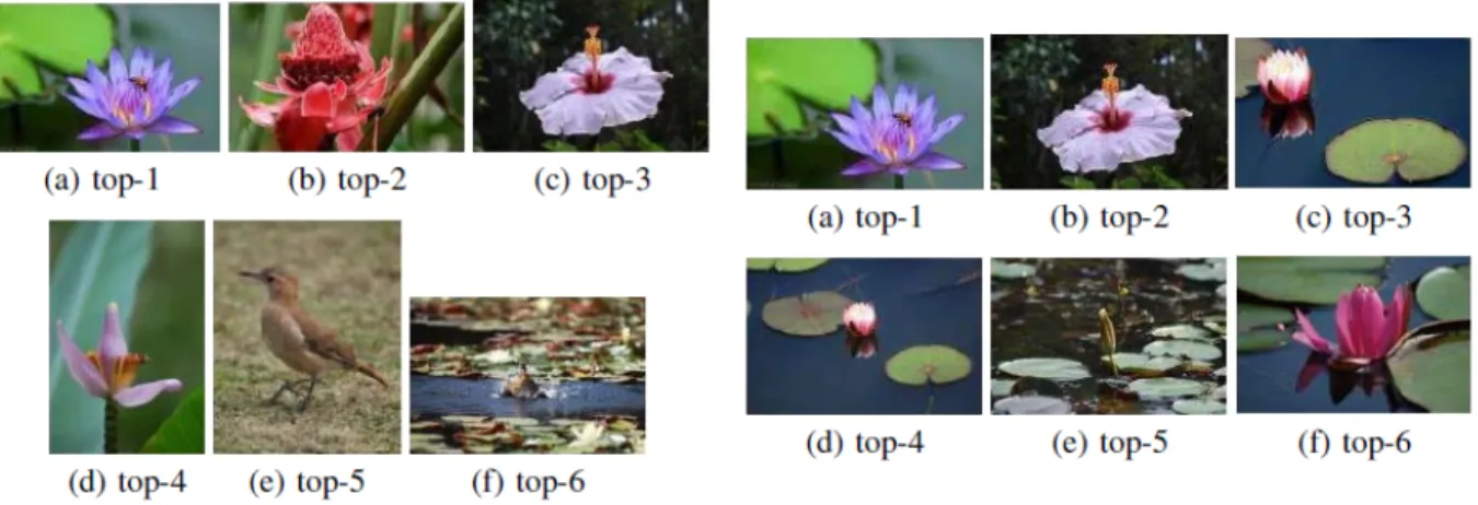 Figure 1.1: Similar pictures with two different meta-paths. On the left, pictures with the path picture-tag-picture and on the right pictures with the path  picture-tag-picture-group-picture-tag-picture