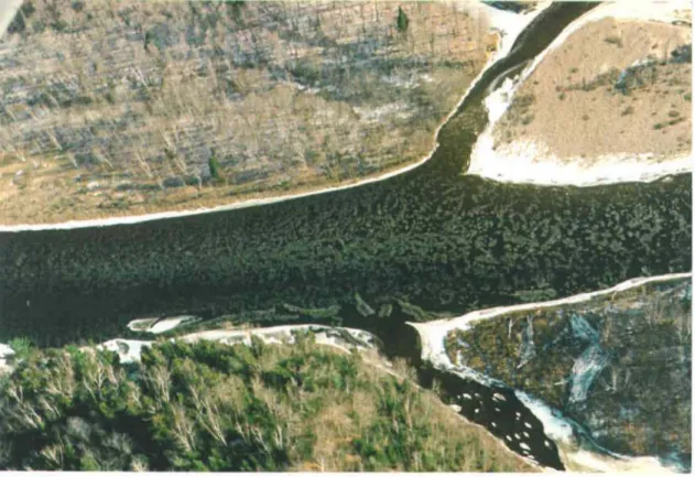 Figure 2.2:  Rivière Montmorency charriant du frasil en flocons  à  sa surface. 